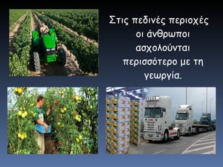 Στις πεδινές περιοχές οι άνθρωποι ασχολούνται περισσότερο με τη γεωργία. 