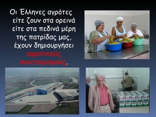 Οι Έλληνες αγρότες είτε ζουν στα ορεινά είτε στα πεδινά μέρη της πατρίδας μας, έχουν δημιουργήσει  αγροτικούς συνεταιρισμούς . 