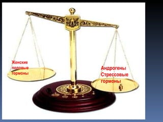Андрогены Стрессовые гормоны Женские половые гормоны 