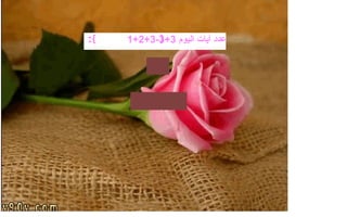 عدد آيات اليوم  3+3-3+2+1  - 145 150 6 - - } { 