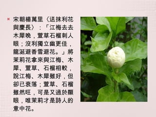 宋朝楊萬里〈送抹利花與慶長〉：「江梅去去木犀晚，萱草石榴刺人眼；沒利獨立幽更佳，龍涎避香雪避花。」將茉莉花拿來與江梅、木犀、萱草、石榴相較，說江梅、木犀雖好，但卻已衰落；萱草、石榴雖然旺，可是又過於顯眼，唯茉莉才是詩人的意中花。 