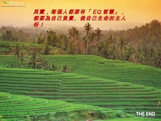 䌍ÿ˶ҪС EQ ǻۡҪԼؓ؟Լѽ 