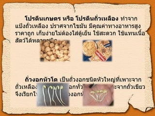 โปรตีนเกษตร หรือ โปรตีนถั่วเหลือง  ทำจากแป้งถั่วเหลือง ปราศจากไขมัน มีคุณค่าทางอาหารสูง ราคาถูก เก็บง่ายไม่ต้องใส่ตู้เย็น ใช้สะดวก ใช้แทนเนื้อสัตว์ได้หลายชนิด ถั่วงอกหัวโต  เป็นถั่วงอกชนิดหัวใหญ่ที่เพาะจากถั่วเหลือง ต่างจากถั่วงอกทั่วไปที่นิยมเพาะจากถั่วเขียว จึงเรียกให้ต่างไปว่า ถั่วงอกหัวโต   