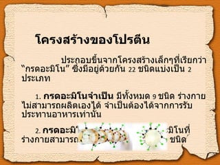 โครงสร้างของโปรตีน   ประกอบขึ้นจากโครงสร้างเล็กๆที่เรียกว่า “กรดอะมิโน” ซึ่งมีอยู่ด้วยกัน   22   ชนิดแบ่งเป็น  2   ประเภท 1 .  กรดอะมิโนจำเป็น  มีทั้งหมด   9   ชนิด ร่างกายไม่สามารถผลิตเองได้ จำเป็นต้องได้จากการรับประทานอาหารเท่านั้น 2.   กรดอะมิโนไม่จำเป็น  เป็นกรดอะมิโนที่ร่างกายสามารถสร้างเองได้ มีทั้งหมด  13   ชนิด 