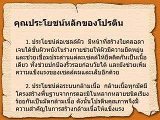 คุณประโยชน์หลักของโปรตีน 1.   ประโยชน์ต่อเซลล์ผิว  มีหน้าที่สร้างใยคลอลาเจนใต้ชั้นผิวหนังในร่างกายช่วยให้ผิวมีความยืดหยุ่น และช่วยเชื่อมประสานแต่ละเซลล์ให้ยึดติดกันเป็นเนื้อเดียว ทั้งช่วยปกป้องริ้วรอยก่อนวัยได้ และยังช่วยเพิ่มความแข็งแรงของเซลล์ผมและเล็บอีกด้วย 2.  ประโยชน์ต่อระบบกล้ามเนื้อ  กล้ามเนื้อทุกมัดมีโครงสร้างพื้นฐานจากกรดอะมิโนหลากหลายชนิดเรียงร้อยกันเป็นมัดกล้ามเนื้อ ดังนั้นโปรตีนคุณภาพจึงมีความสำคัญในการสร้างกล้ามเนื้อให้แข็งแรง 