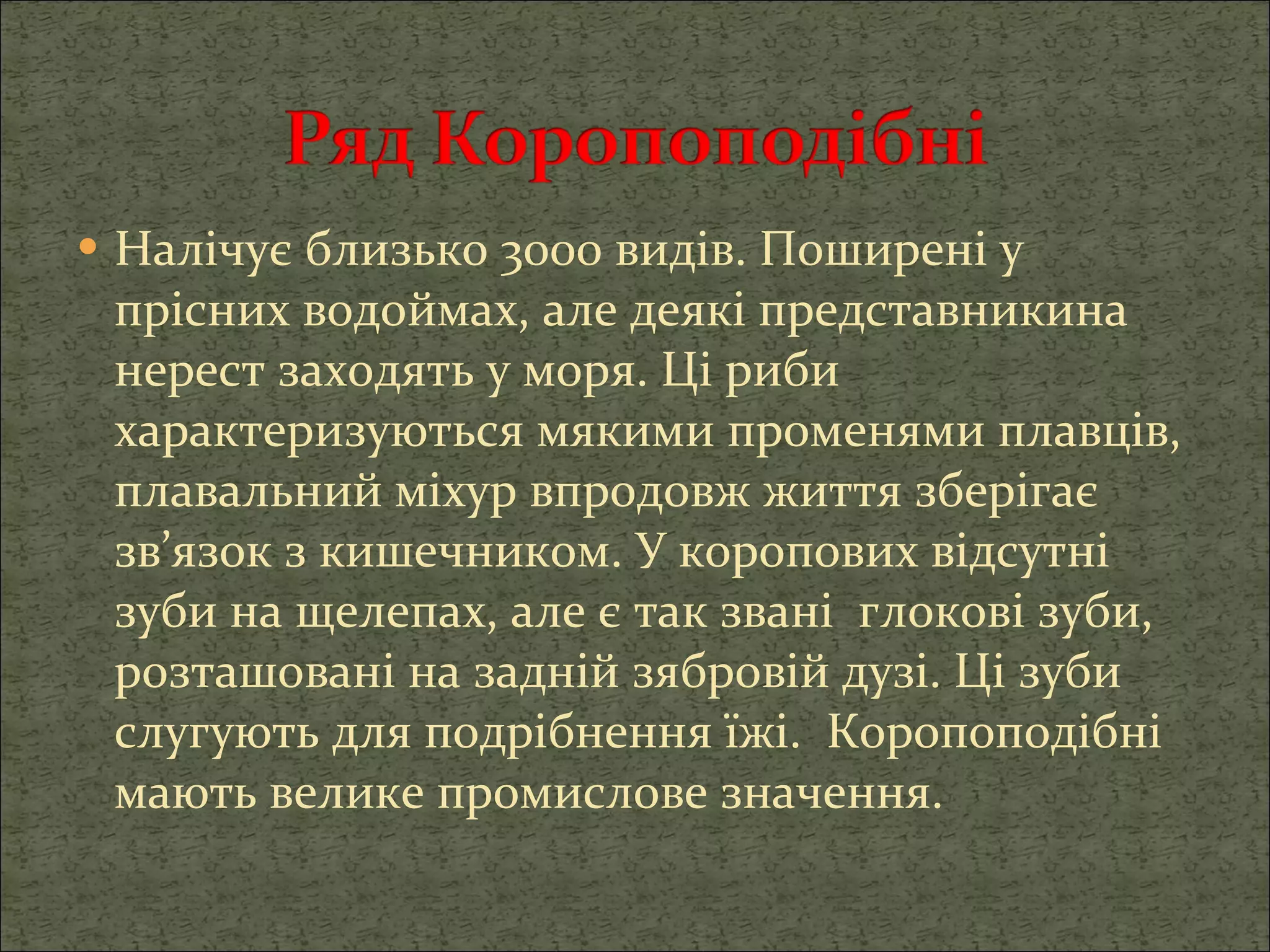 Налічує близько 3000 видів. Поширені у прісних водоймах, але деякі представникина нерест заходять у моря. Ці риби характеризуються мякими променями плавців, плавальний міхур впродовж життя зберігає зв’язок з кишечником. У коропових відсутні зуби на щелепах, але є так звані  глокові зуби, розташовані на задній зябровій дузі. Ці зуби слугують для подрібнення їжі.  Коропоподібні мають велике промислове значення. 