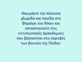 Θαυμάστε την πλούσια χλωρίδα και πανίδα στο Φαράγγι του Βίκου και κατασκηνώστε στις εντυπωσιακές Δρακόλιμνες που βρίσκονται στις κορυφές των βουνών της Πίνδου.