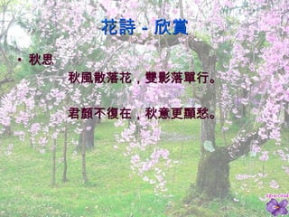 花詩－欣賞 秋思 秋風散落花，雙影落單行。 君顏不復在，秋意更顯愁。 