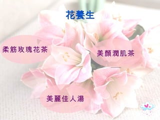 花養生 柔筋玫瑰花茶   美麗佳人湯 美顏潤肌茶 