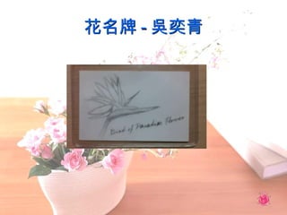 花名牌 - 吳奕青 