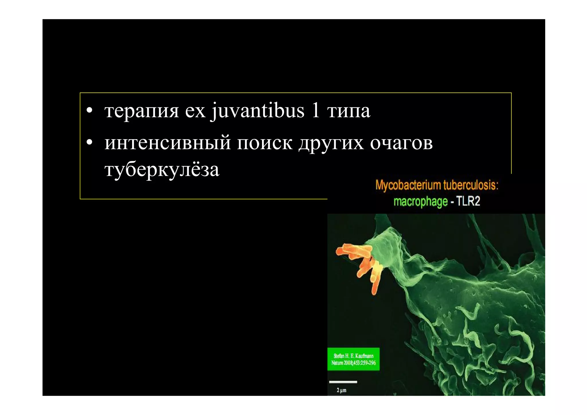 • терапия ex juvantibus 1 типа
• интенсивный поиск других очагов
  туберкулёза
 