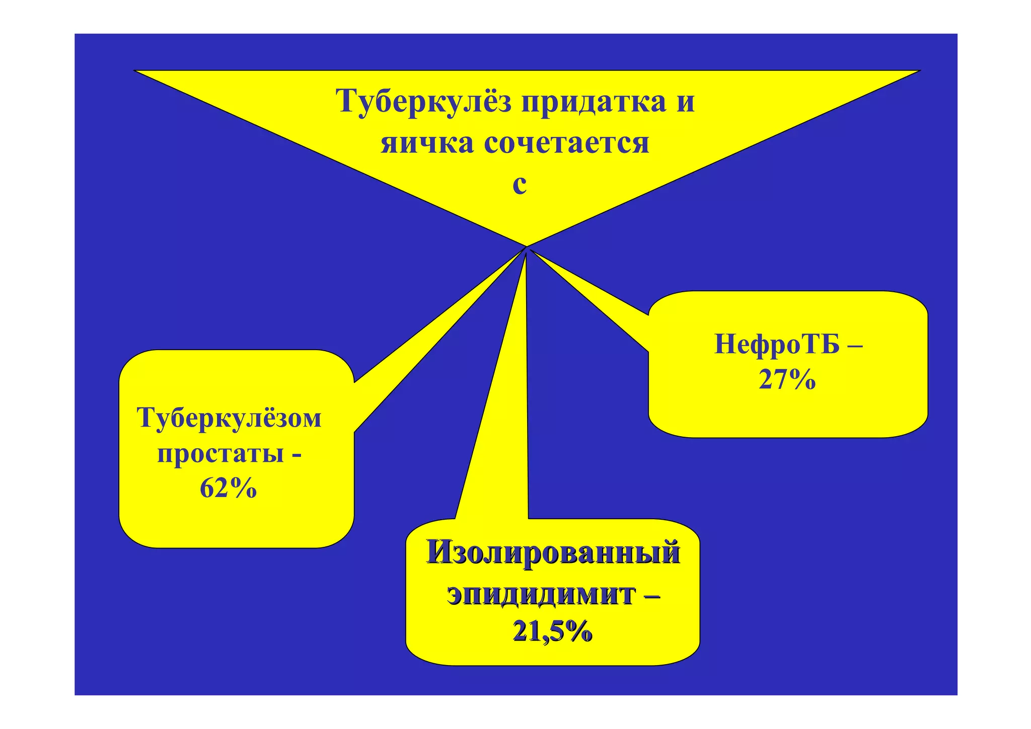 Туберкулёз придатка и
                 яичка сочетается
                         с



                                       НефроТБ –
                                         27%
Туберкулёзом
 простаты -
    62%

                    Изолированный
                     эпидидимит –
                         21,5%
 