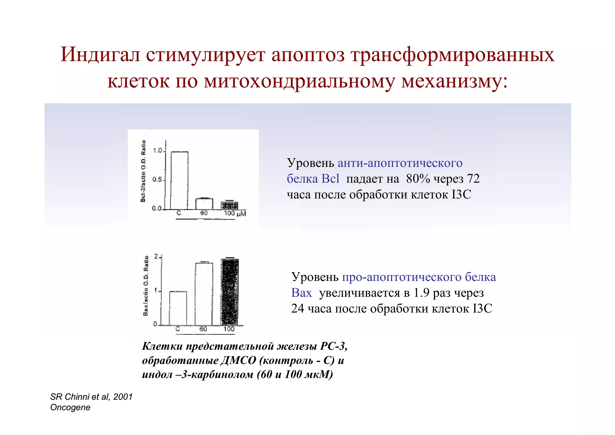 Индигал стимулирует апоптоз трансформированных
      клеток по митохондриальному механизму:


                                               Уровень анти-апоптотического
                                               белка Bcl падает на 80% через 72
                                               часа после обработки клеток I3C




                                                Уровень про-апоптотического белка
                                                Bax увеличивается в 1.9 раз через
                                                24 часа после обработки клеток I3C

                        Клетки предстательной железы РС-3,
                        обработанные ДМСО (контроль - С) и
                        индол –3-карбинолом (60 и 100 мкМ)
SR Chinni et al, 2001
Oncogene
 