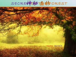 SECRET  OF THE FOREST MUSIC   purple 