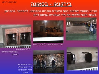 בירקנאו  -  בסאונה יום ראשון ,  ד '  ניסן חפצי היהודים נשדדו לטובת גרמניה היהודים הופשטו .  בעגלות אלה נאספו הבגדים בחדר האחרון יש קיר זיכרון שעליו מאות תמונות של יהודים  עברנו במספר אולמות בהם היהודים הוכרחו להתפשט ,  להסתפר ,  להתרחץ ,  לעבור חיטוי וללבוש את מדי האסירים שניתנו להם . 
