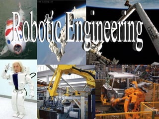 Robotic Engineering 