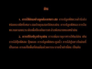 ดิน
         1. การใช้ดินอย่างถูกต้องเหมาะสม การปลูกพืชควรคานึงถึง
ชนิดของพืชที่ เหมาะสมกับคุณสมบัติของดิน การปลูกพืชและการไถ
พรวนตามแนวระดับเพื่อป้องกันการชะล้างพังทลายของหน้าดิน
         2. การปรับปรุง บ้า รุงดิน การเพิ่มธาตุอาหารให้แก่ดิน เช่น
การใส่ปุ๋ยพืชสด ปุ๋ยคอก การปลูกพืชตระกูลถั่ว การใส่ปูนขาวในดินที่
เป็นกรด การแก้ไขพื้นที่ดินเค็มด้วยการระบายน้าเข้าที่ดิน เป็นต้น
 