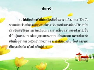 ปะการัง
         1. ไม่เก็บปะการังที่หักหรือเก็บขึ้นมาจากท้องทะเล ชีวิตนับ
ร้อยนับพันชีวิตที่ต้องตายลงจากโครงสร้างของปะการังที่ต้องใช้เวลานับ
ร้อยนับพันปีในการเจริญเติบโต และการเสื่อมสลายของปะการังนั้น
นาไปสู่ผลของการเสื่อมสูญอาหารจากทะเลในอนาคต เพราะปะการัง
เป็นที่อยู่อาศัยของชีวิตจากท้องทะเล เราจึงไม่ควรเก็บ ซื้อปะการังมา
เป็นของที่ระลึก หรือประดับตู้ปลา
 