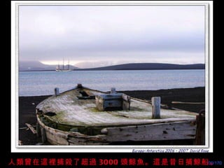 人類曾在這裡捕 殺 了超過 3000 頭鯨魚。這是昔日捕鯨船。 