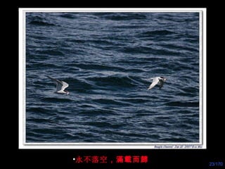 永不落空 ，滿載而歸 