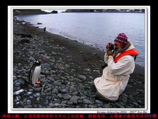 南極公 約 ：必須與動物保持 5 米以上的距離，靜靜等待，企鵝會主動過來研究人類。 