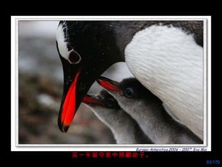 另一半留守家中照顧幼子。 