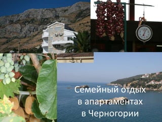 Семейный отдых в апартаментах в Черногории 