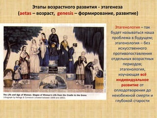 Этапы возрастного развития  -  этагенеза  ( aetas   – возраст,  genesis  – формирование, развитие) Этагенология  – так будет называться наша проблема в будущем; этагенология – без искусственного противопоставления отдельных возрастных периодов; этагенология, изучающая  всё индивидуальное развитие  от оплодотворения до неизбежной смерти и глубокой старости 