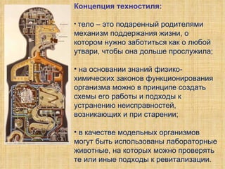 Концепция техностиля: тело – это подаренный родителями механизм поддержания жизни, о котором нужно заботиться как о любой утвари, чтобы она дольше прослужила; на основании знаний физико-химических законов функционирования организма можно в принципе создать схемы его работы и подходы к устранению неисправностей, возникающих и при старении; в качестве модельных организмов могут быть использованы лабораторные животные, на которых можно проверять те или иные подходы к ревитализации.  