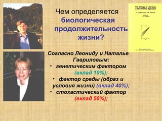 Чем определяется  биологическая продолжительность жизни? Согласно Леониду и Наталье Гавриловым: генетическим фактором  (вклад 10%); фактор среды (образ и условия жизни)  (вклад 40%); стохастический фактор  (вклад 50%); 