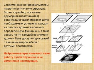 Современные нейрокомпьютеры имеют пластинчатую структуру. Это не случайно, поскольку двумерная (пластинчатая) организация удовлетворяет двум необходимым условиям: каждая из пластин должна выполнять определенную функцию и, в тоже время, почти каждый ее элемент должен быть доступен для связей с внешним миром и/или с другими пластинами.  Нейрокомпьтеры изменяют свою работу путём обучения, а не изменения конструкции.  
