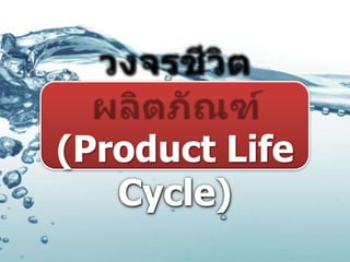 (Product Life
   Cycle)
 