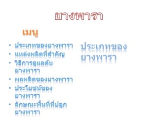 ยางพาราเมนูประเภทของยางพาราประเภทของยางพาราแหล่งผลิตที่สำคัญวิธีการดูแลต้นยางพาราผลผลิตของยางพาราประโยชน์ของยางพาราลักษณะพื้นที่ที่ปลูกยางพารา