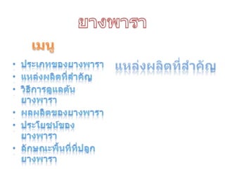 ยางพาราเมนูแหล่งผลิตที่สำคัญประเภทของยางพาราแหล่งผลิตที่สำคัญวิธีการดูแลต้นยางพาราผลผลิตของยางพาราประโยชน์ของยางพาราลักษณะพื้นที่ที่ปลูกยางพารา