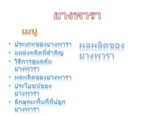ยางพาราเมนูผลผลิตของยางพาราประเภทของยางพาราแหล่งผลิตที่สำคัญวิธีการดูแลต้นยางพาราผลผลิตของยางพาราประโยชน์ของยางพาราลักษณะพื้นที่ที่ปลูกยางพารา
