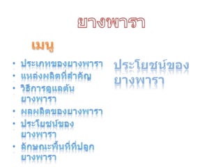 ยางพาราเมนูประโยชน์ของยางพาราประเภทของยางพาราแหล่งผลิตที่สำคัญวิธีการดูแลต้นยางพาราผลผลิตของยางพาราประโยชน์ของยางพาราลักษณะพื้นที่ที่ปลูกยางพารา
