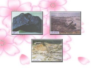 หลักการอȨรักษ์
