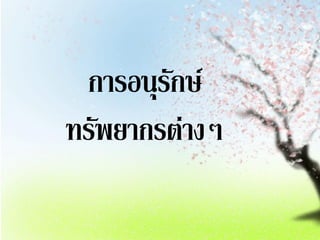 การอนุรักษ์
ทรัพยากรต่างๆ
 