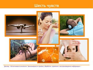 Шесть чувств




Доклад: «Когнитивная психология. Закономерности приёма, обработки, хранения и воспроизведения информации.»
 