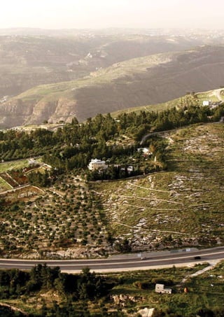 Amman Plan: Metropolitan Growth Arabic |Amman Institute | PDF