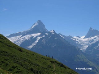 Schreckhorn 