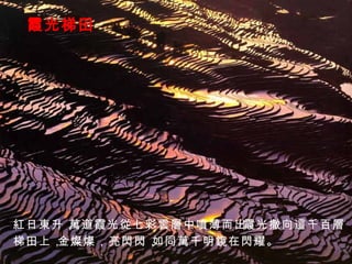 霞光梯田 紅日東升， 萬道霞光從七彩雲層中噴薄而出。 霞光撒向這千百層 梯田上， 金燦燦，亮閃閃， 如同萬千明鏡在閃耀。 