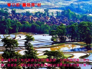 箐口的“蘑菇房”村 箐口還保留了哈尼族過去住的“蘑菇房”， 它們的屋頂像一頂大草 帽。 這裡是一個很美的自然風景區， 而村邊的梯田形狀變化萬千。 