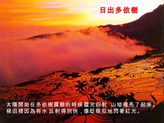 日出多依樹 太陽開始在多依樹露臉的時候， 霞光四射， 山坳裡亮了起來。 梯田裡因為有水， 反射得別快， 像眨眼似地閃著紅光。 