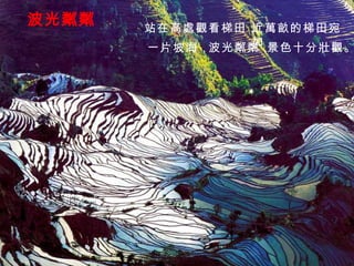 波光粼粼 站在高處觀看梯田， 近萬畝的梯田宛如 一片坡海， 波光粼粼， 景色十分壯觀。 
