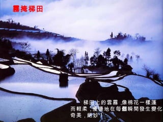 霧掩梯田 梯田上的雲霧， 像棉花一樣蓬鬆 而輕柔， 慢慢地在毎個瞬間發生變化， 奇美， 絕妙！ 