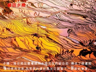 梯田夕照 夕陽，落日將田壟壩綫和水面完全的組合起來， 構成了版畫般的 獨特視角效果。 為秀美的梯田風光又譜寫了一曲新的樂章。 