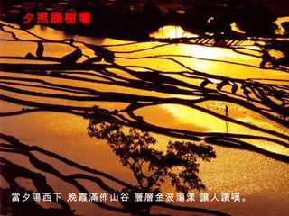 夕照龍樹壩 當夕陽西下， 晚霞滿佈山谷， 層層金波蕩漾， 讓人讚嘆。 