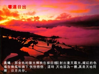 壩達日出 晨曦，那金色的陽光輝映在梯田裡， 反射出漫天霞光。 暖紅的色 塊在微風吹拂下， 恍恍愡愡，這時， 天地溶為一體。 真是天地同 輝，日月共存。 