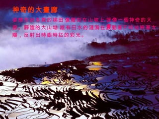 神奇的大畫廊 姿態形狀各異的梯田， 像雕刻在山坡上， 就像一個神奇的大畫 廊。靜謐的大山坳， 唯有田水的漣漪在波動著， 不時地映著太 陽，反射出時銀時紅的彩光。 